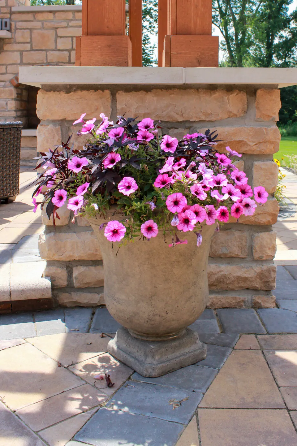 Concrete planter with pink petunias and dark sweet potato vine in front of a stone pergola column on a paver patio